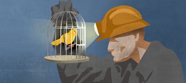 Wetenschappelijk nepnieuws: de kanarie en de canard